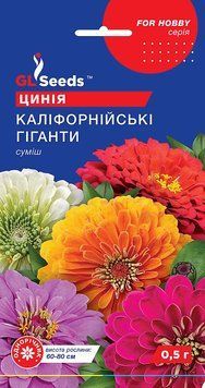 Цинія Каліфорнійські гіганти 100 фото