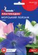 Платикодон