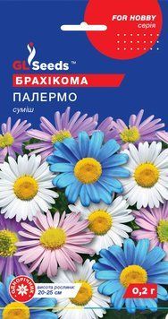 Брахікома Палермо 8 фото