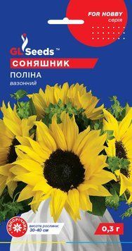 Соняшник Поліна вазонний 91 фото
