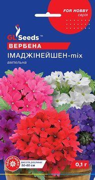 Вербена Імаджинейшн мікс F1 9 фото