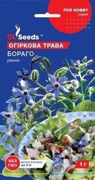 Пряности Огуречная трава Бораго 305 фото