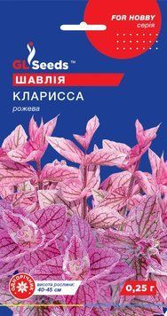 Шавлія Клариса 111 фото