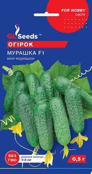 Огірок гібрид Мураха F1 257 фото