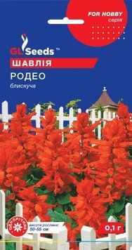Шавлія Родео 112 фото