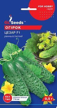 Огірок гібрид Цезар F1 263 фото