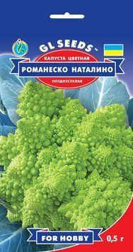 Капуста цветная Романенко Наталино 237 фото