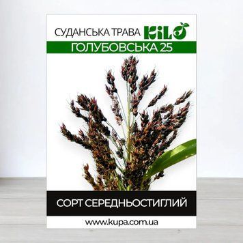 Насіння суданської трави Голубовська 25 триколірна, Сорго Суданське  858 фото