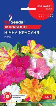 Мірабіліс Нічна красуня 69 фото