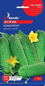 Огурец сортовой Конкурент 439 фото