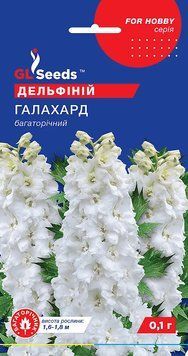 Дельфіній Галахард 24 фото