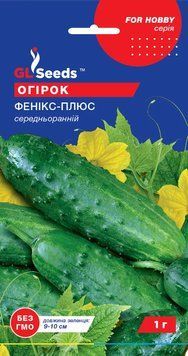 Огурец Феникс Плюс 442 фото