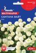 Матрикария