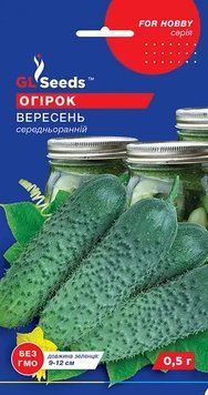 Огірок сортовий Вересень 272 фото