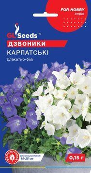 Колокольчики Карпатские бело-голубые 28 фото