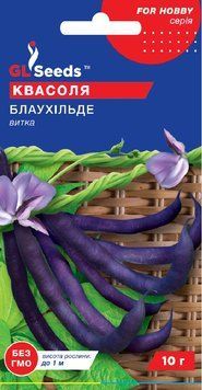 Квасоля спаржева Блаухільде витка 238 фото
