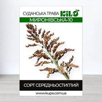 Насіння суданської трави Миронівська-10, Сорго Суданське  859 фото