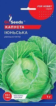 Капуста білокачанна Іюньська 225 фото