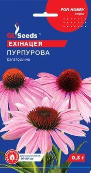 Ехінацея пурпурова 31 фото