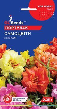 Портулак Самоцвіти 81 фото