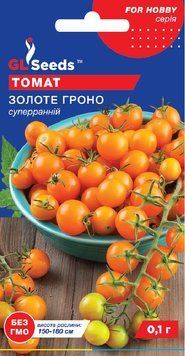 Томат Золоте гроно 327 фото