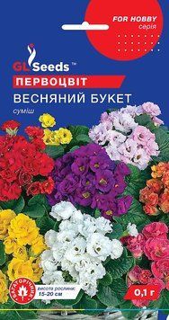Примула (первоцвіт) Весняний букет 82 фото