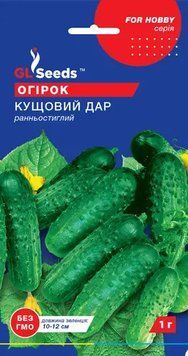 Огірок сортовий Кущовий Дар 278 фото
