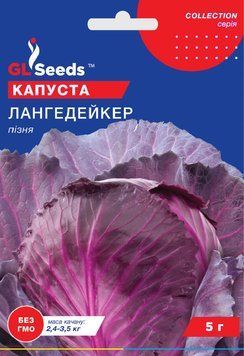 Капуста червонокачанна Лангедейкер 365 фото