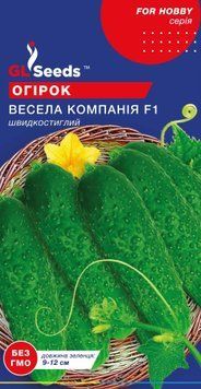 Насіння Огiрка Весела компанiя F1 902 фото