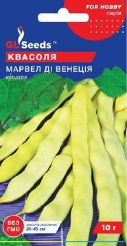 Квасоля спаржева Марвел ді Венеція кущова 239 фото