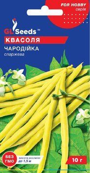 Квасоля спаржева Чародійка кущова 241 фото