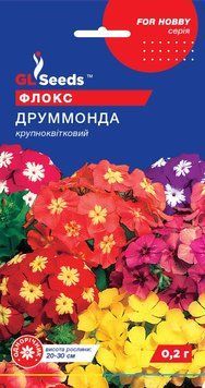 Флокс Друмонда 96 фото