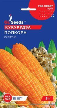 Кукурудза Поп Корн 242 фото