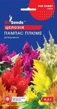 Целозія Пампас Плюме 97 фото